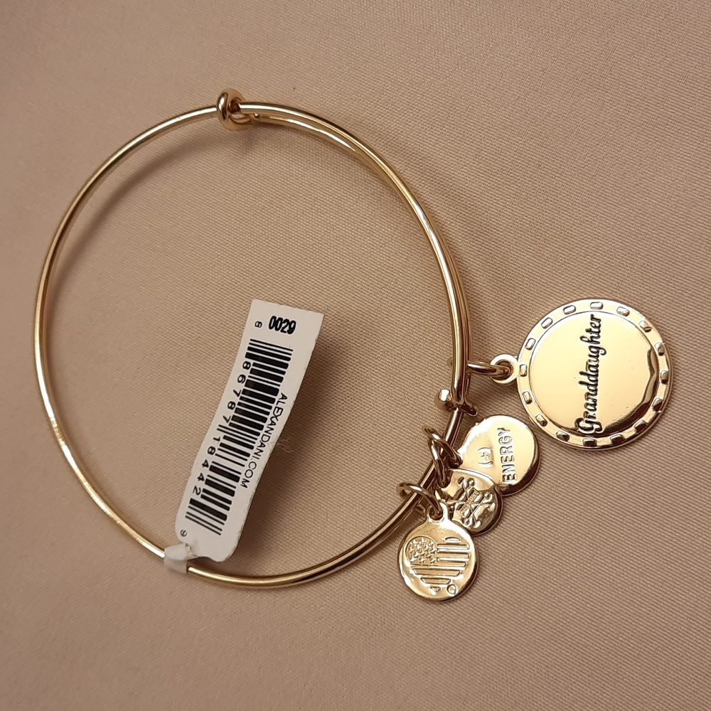 NWT, Alex and Ani Gold Because I Love You Granddaughter Bracelet - Picture 6 of 9
